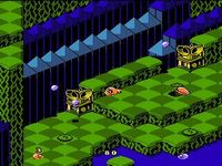 une photo d'Ã©cran de Snake Rattle n Roll sur Nintendo Nes